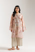 EMBROIDERED SUIT (E4255/103/328)
